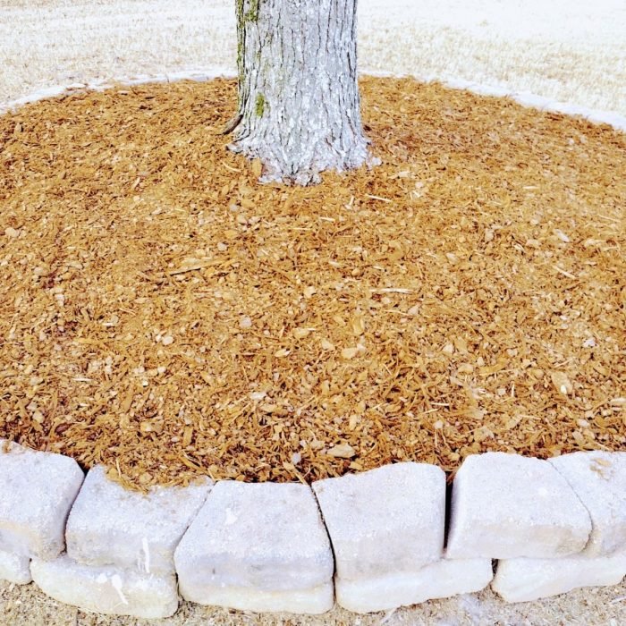 469900093_495264190229360_3547323733232847757_n