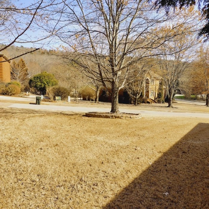 469908174_495264413562671_1204855613530481641_n