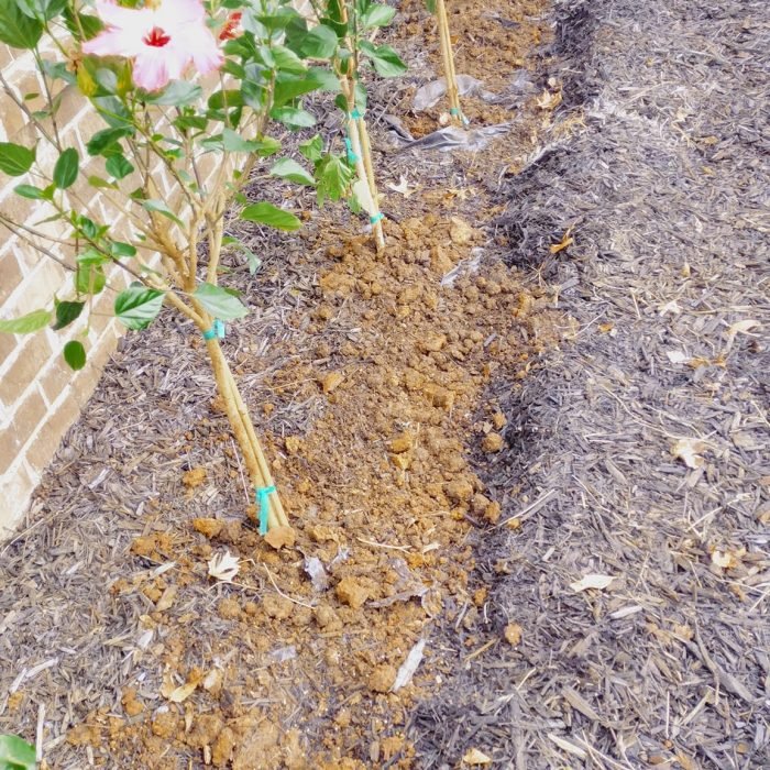 469921221_495278620227917_1478181910788645521_n