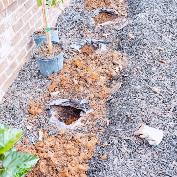 469960081_495278606894585_2159932977994153909_n