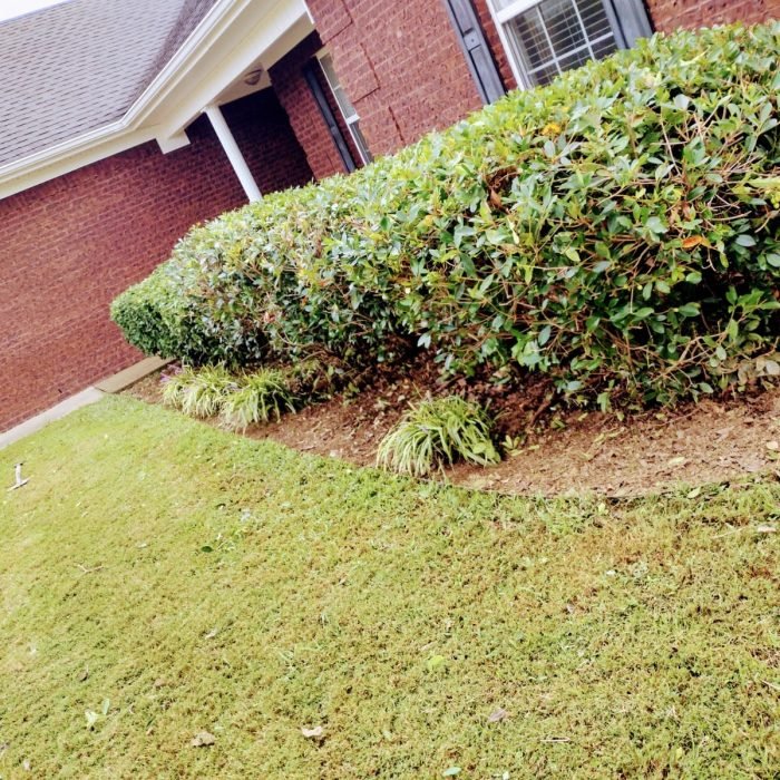 469965293_495264153562697_3138928913715311972_n