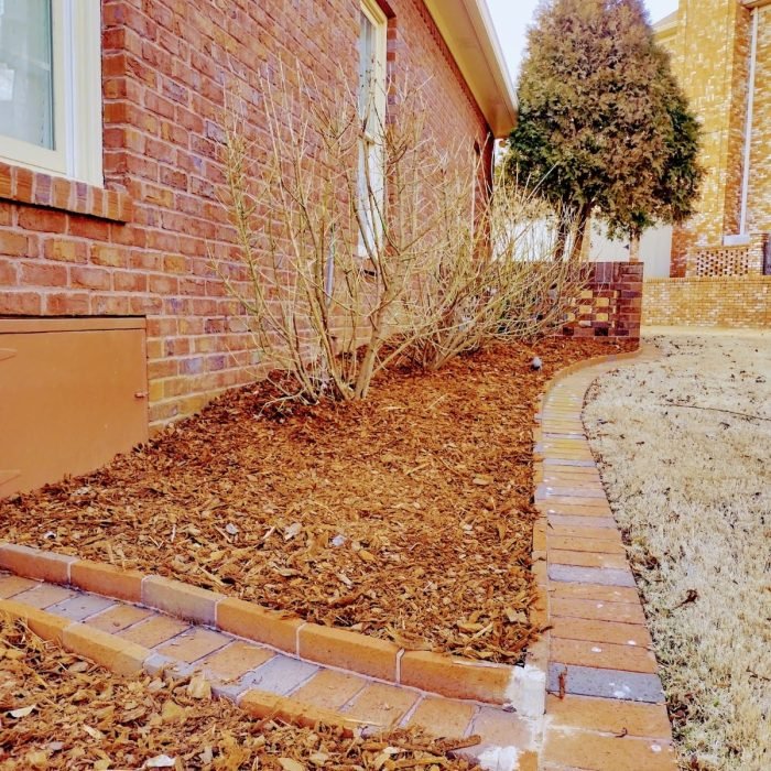 469971356_495264186896027_6060076228957057227_n