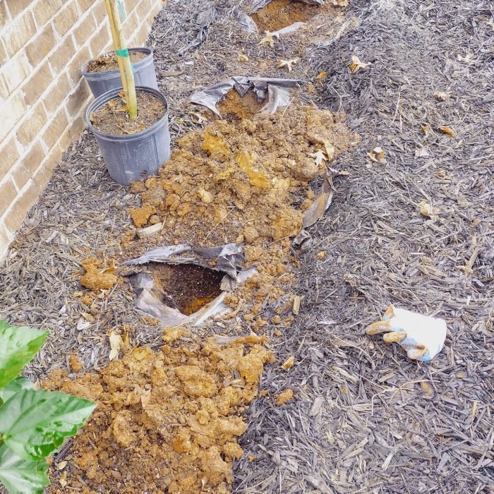 469978574_495278626894583_3323873794477404921_n