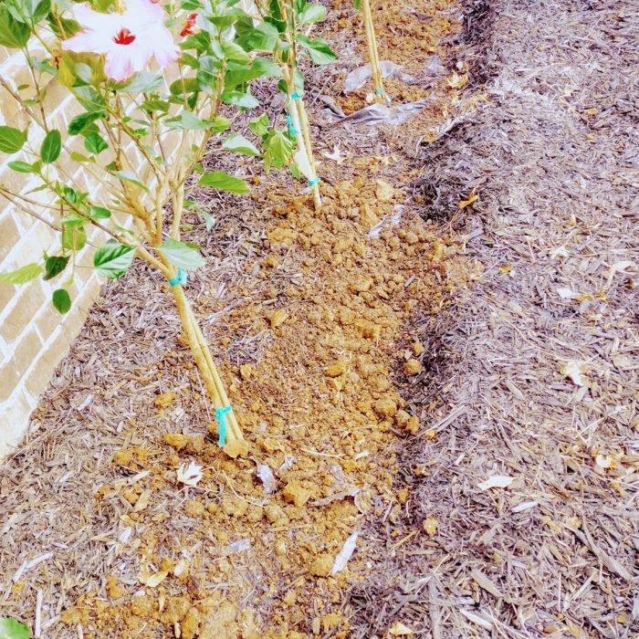 469991851_495278600227919_4880666854873563220_n