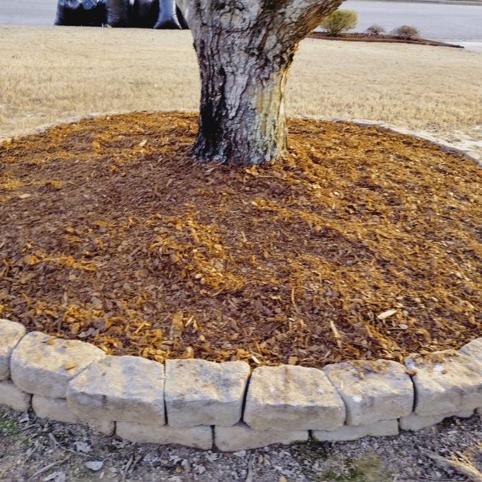 469996165_495264166896029_3848615352637802864_n