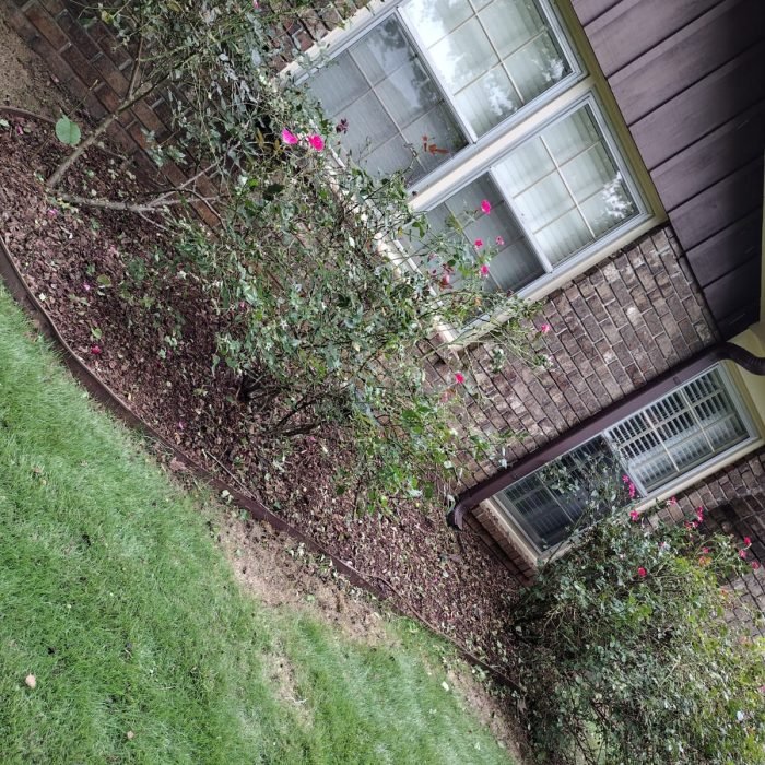 470066669_495264436896002_5520938312427475594_n