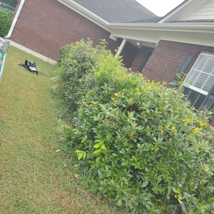 470070849_495264156896030_894453660377122219_n