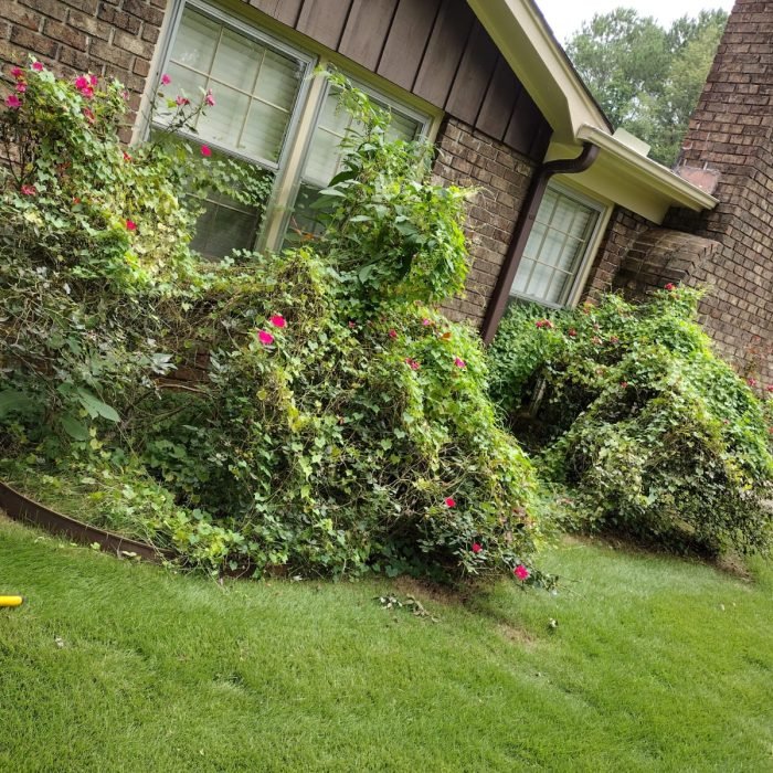 470074935_495264443562668_6428607246114937969_n