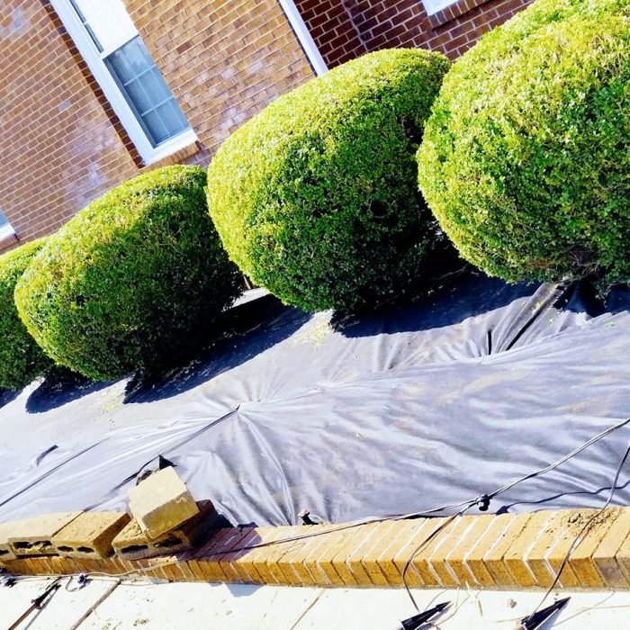 470473209_507246619031117_1809301559866724442_n