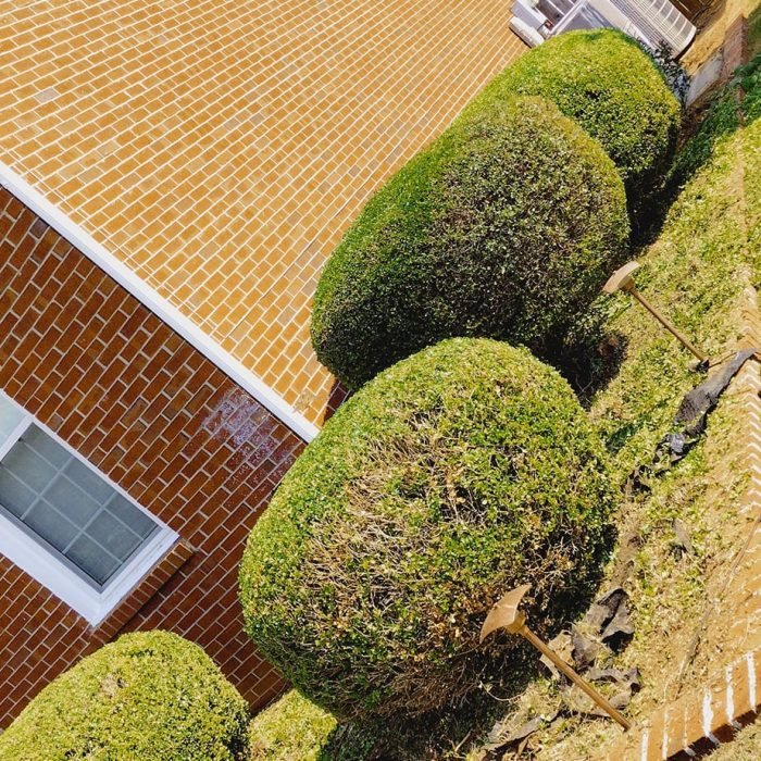 470507543_507246632364449_5860695905705377231_n