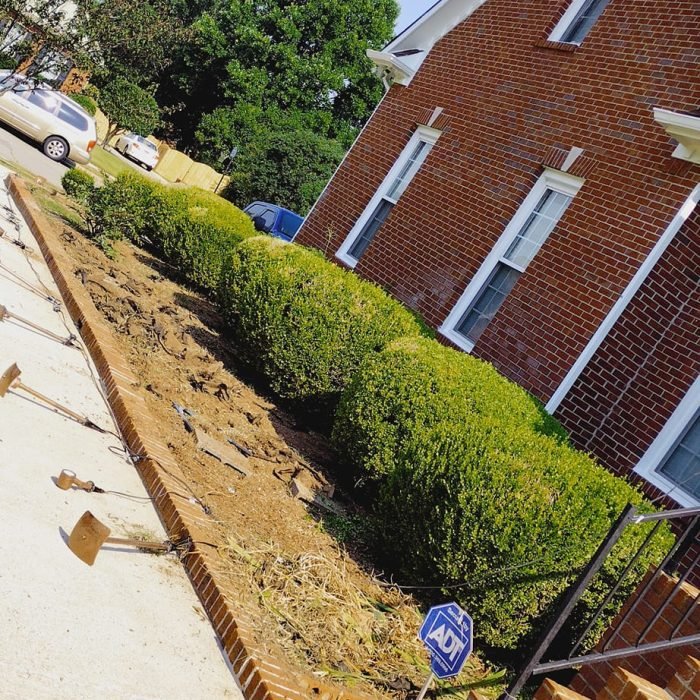 470527826_507246672364445_8874917582410636717_n