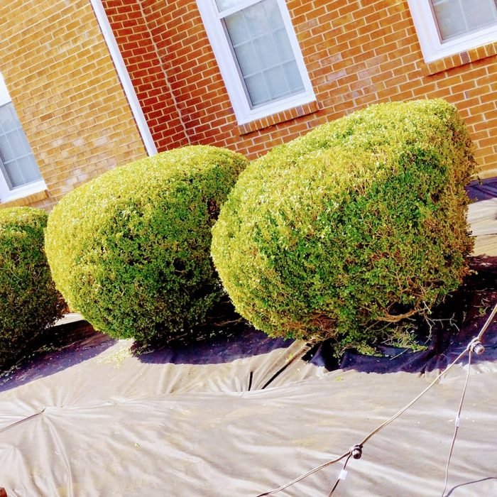 471272179_507246665697779_2705000021736660457_n