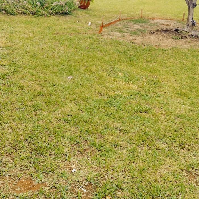 471321229_507255119030267_2616384574675712664_n