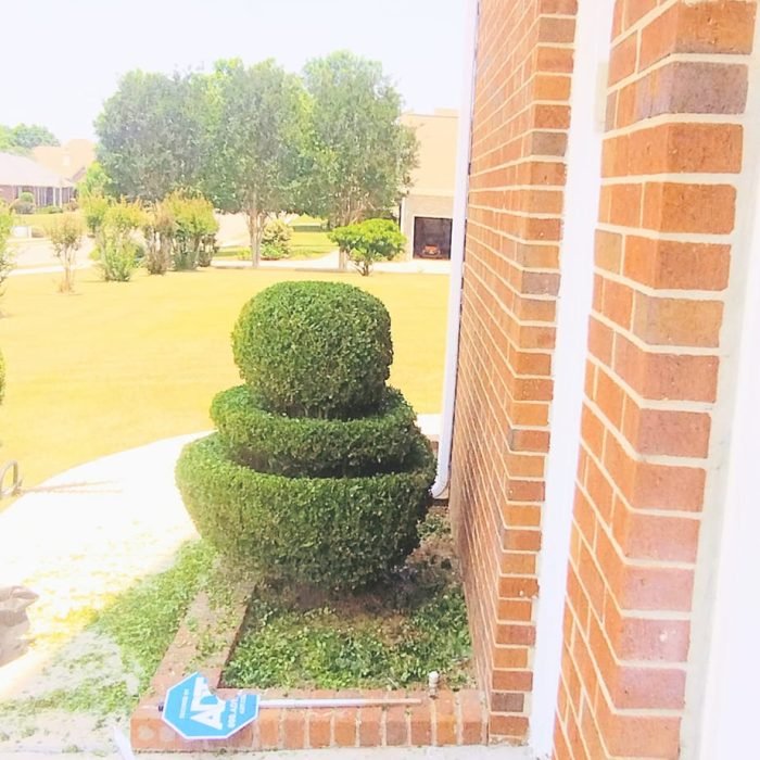 471358652_507246645697781_2643932563864017545_n