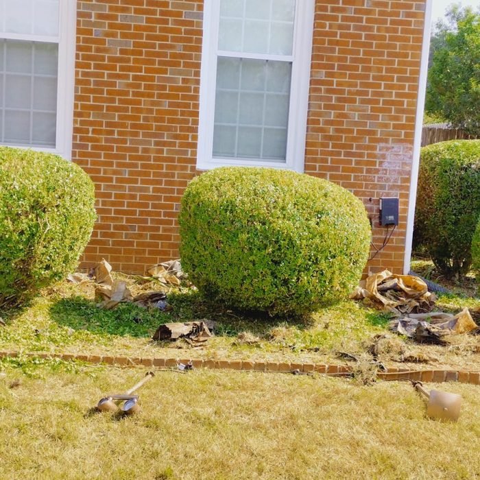 471369470_507246759031103_439820464221455865_n