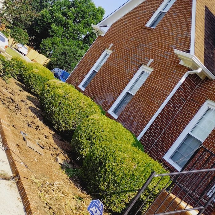 471399237_507246662364446_4534325902229609725_n