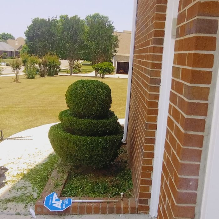 471415233_507246749031104_3950667210027757094_n