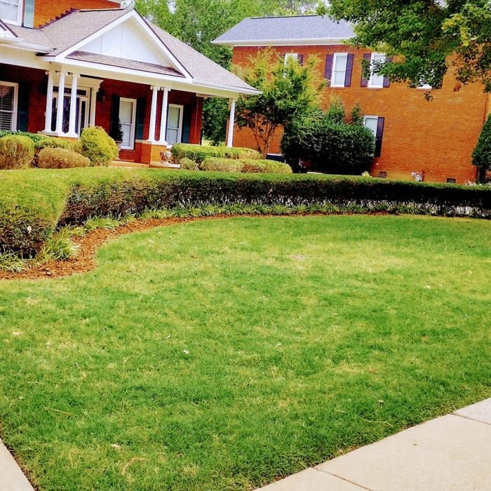 472169217_511442295278216_1195613939154761038_n