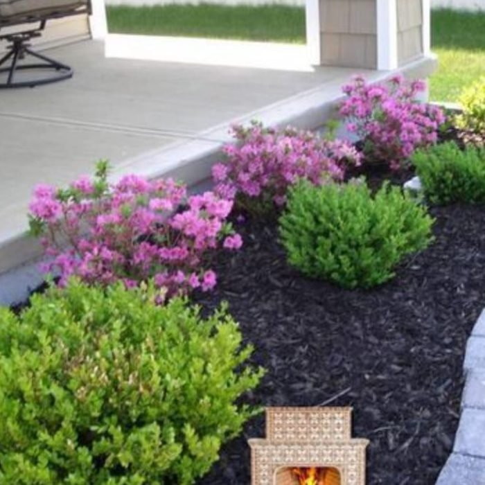 472234464_511436575278788_6225846613274496198_n