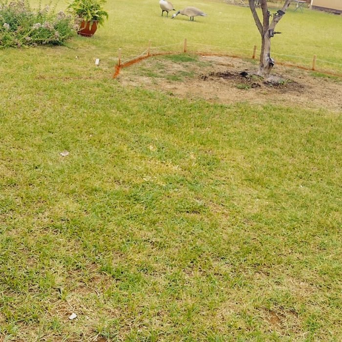 472235098_511436701945442_6898976280426693869_n