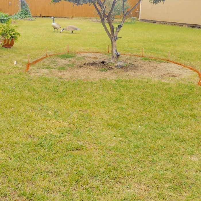 472438909_511436695278776_7082519102777620532_n