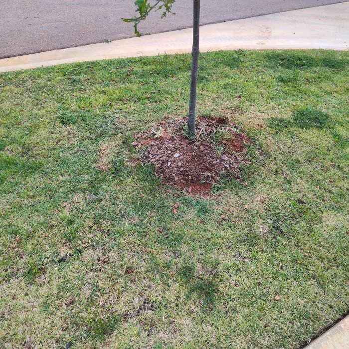 472481816_516168788138900_7512283775560838764_n