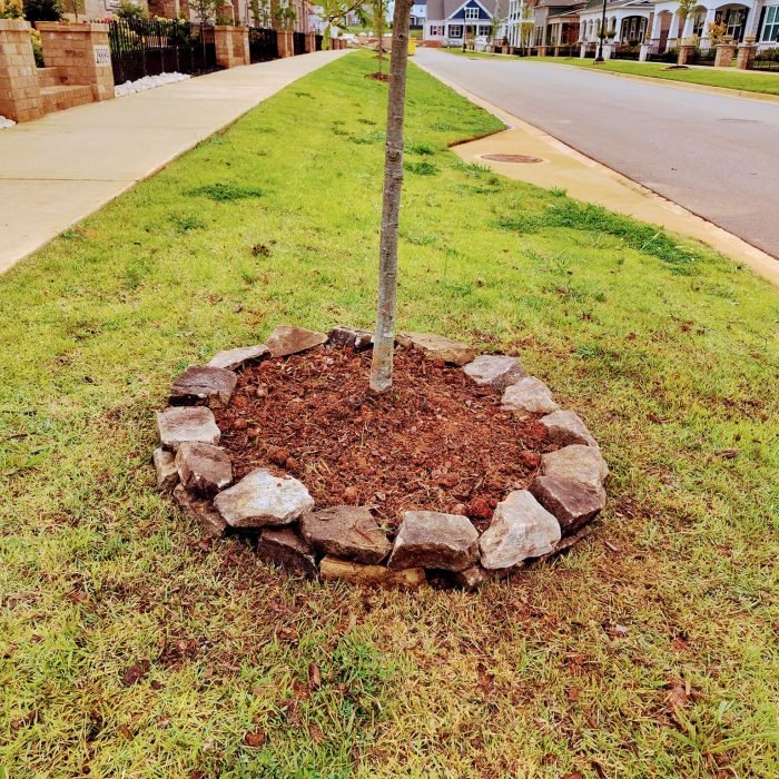 472491190_516168888138890_7989885796806447641_n