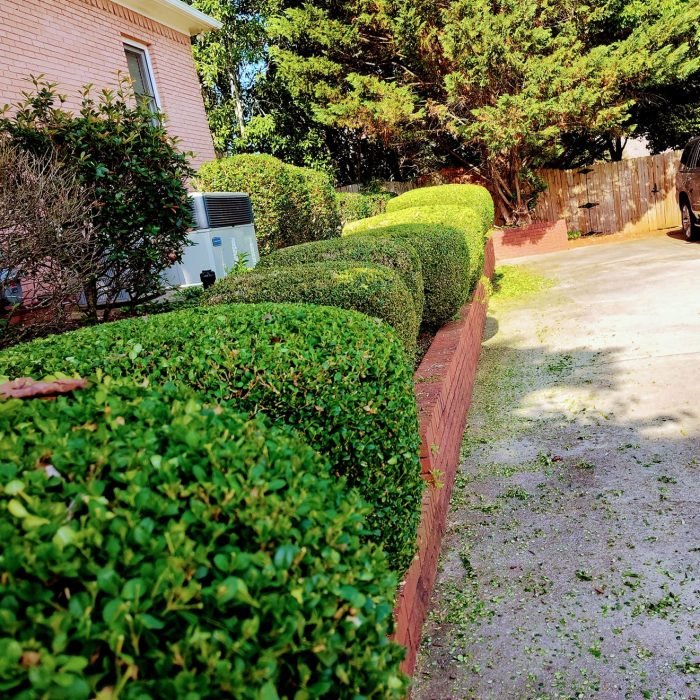 472644874_514326898323089_3417747904697530001_n