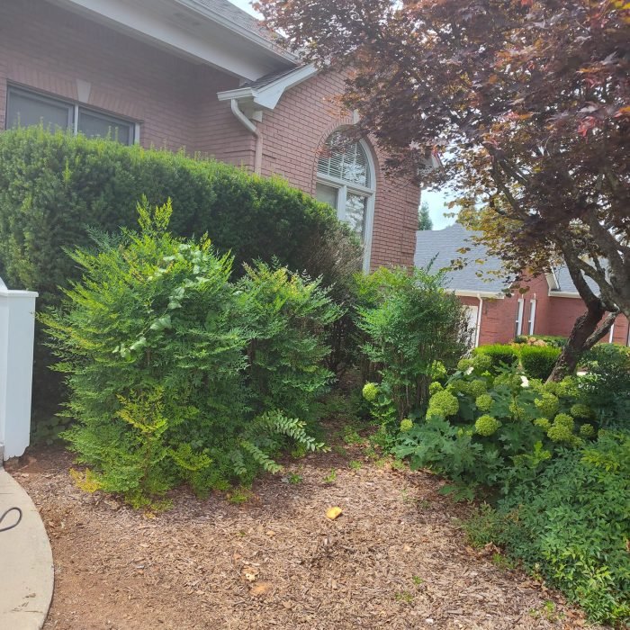 472829284_514326801656432_40314832137544336_n