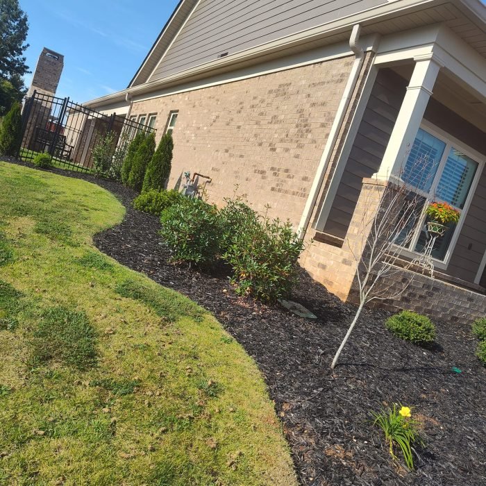 473010855_516168784805567_157791836369346741_n