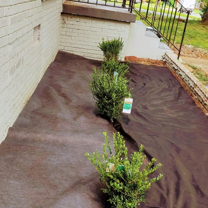 473055786_516430271446085_8703190024291006036_n