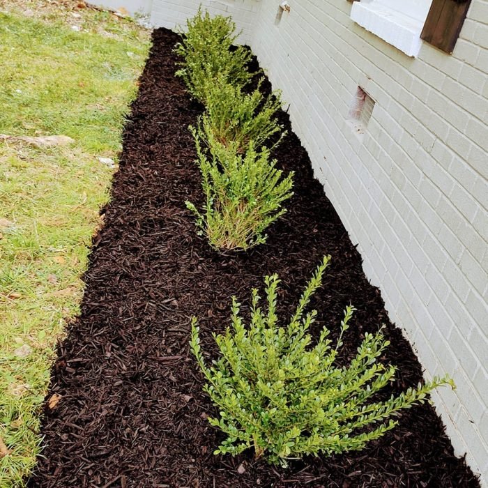 473072864_516430234779422_5712595057607485619_n