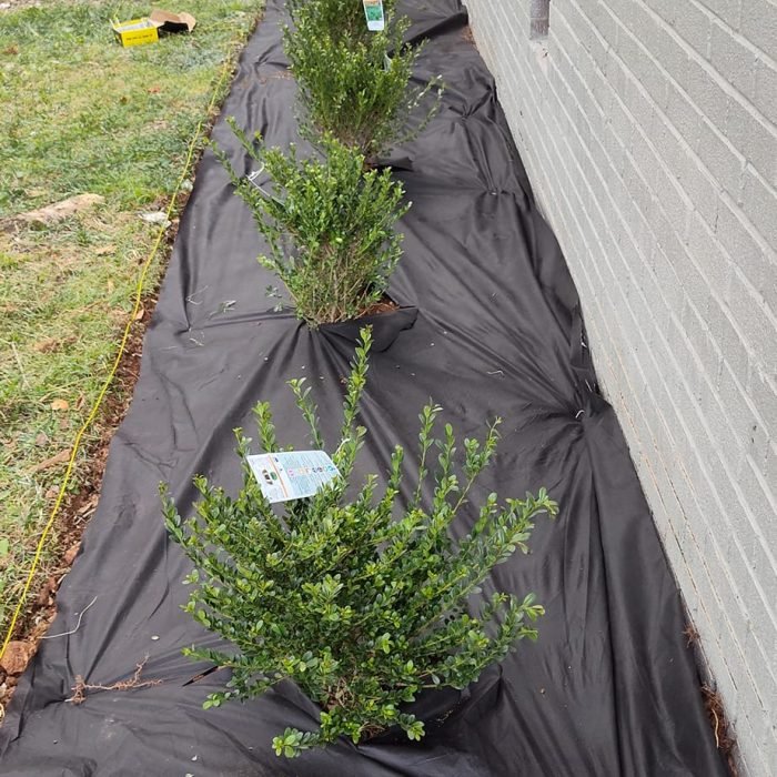 473107714_516430314779414_1770716465673006145_n