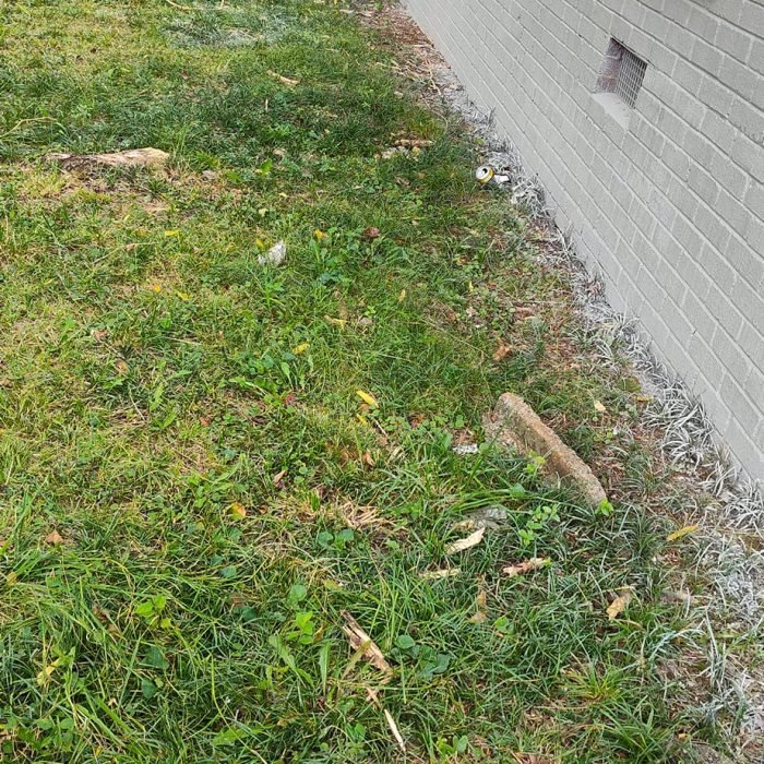 473131517_516430291446083_3164061340821162703_n