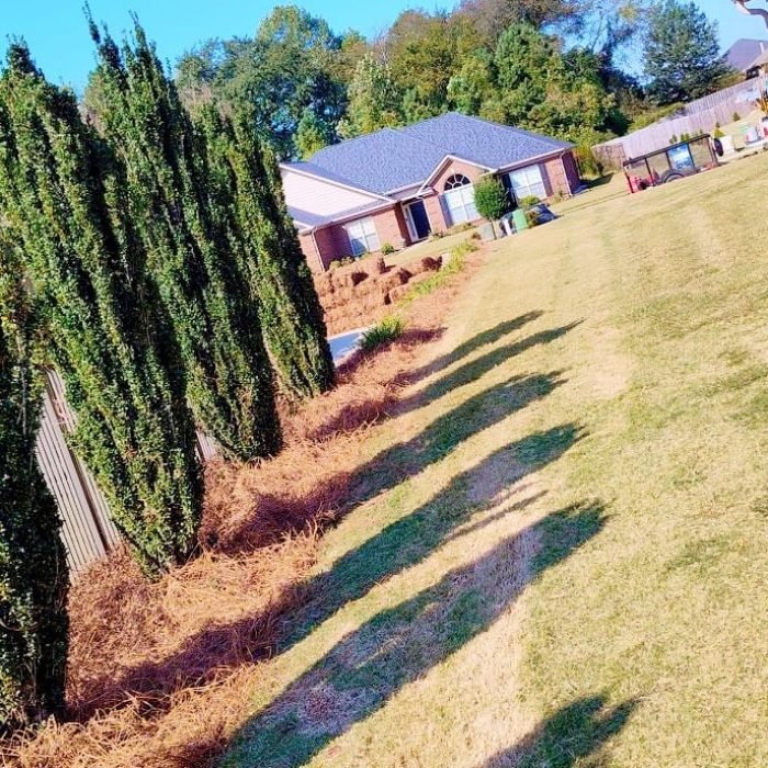 473369872_516868778068901_1438230773544230471_n