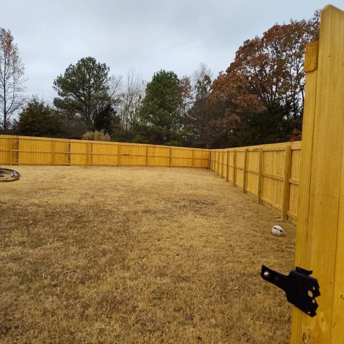 474561203_523515110737601_6398937263201084127_n