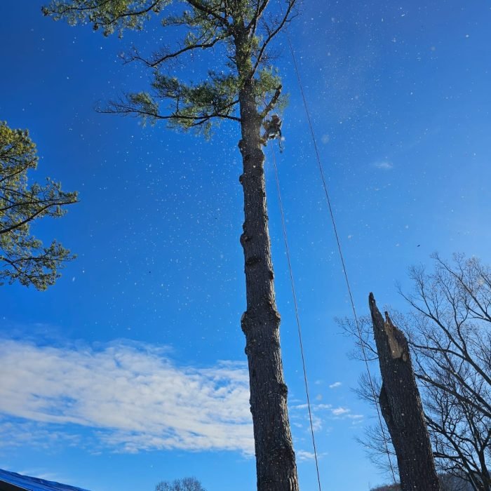 474948463_529217393500706_3894607834919160599_n