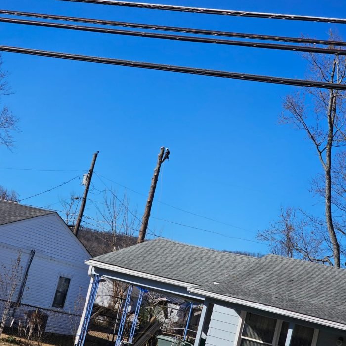 474950891_529217480167364_5533803139826480958_n