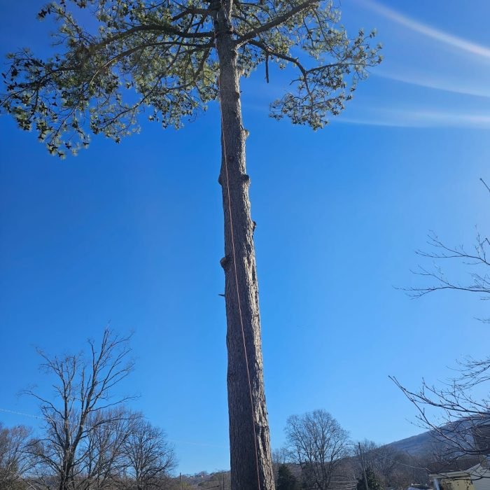 475174404_529217290167383_4818565854705887504_n