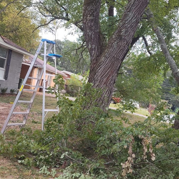 475305992_528684486887330_8833242328306919791_n