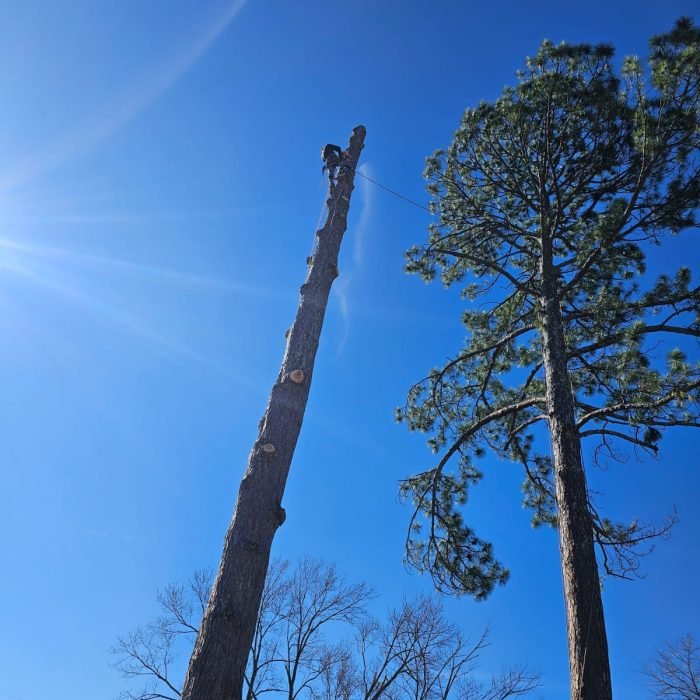 475360020_529217293500716_1015597193184355579_n