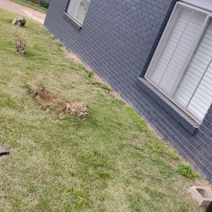 475713347_533600603062385_629441309785271639_n