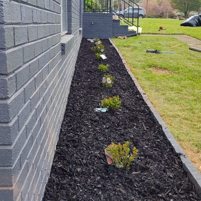 475756400_535022906253488_7280464200863956297_n