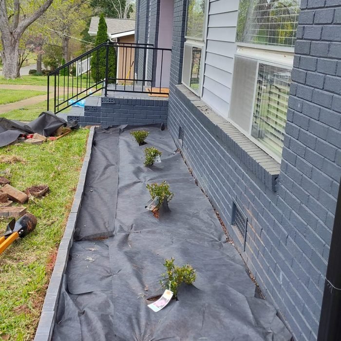 475809386_533600779729034_5207865214848092549_n