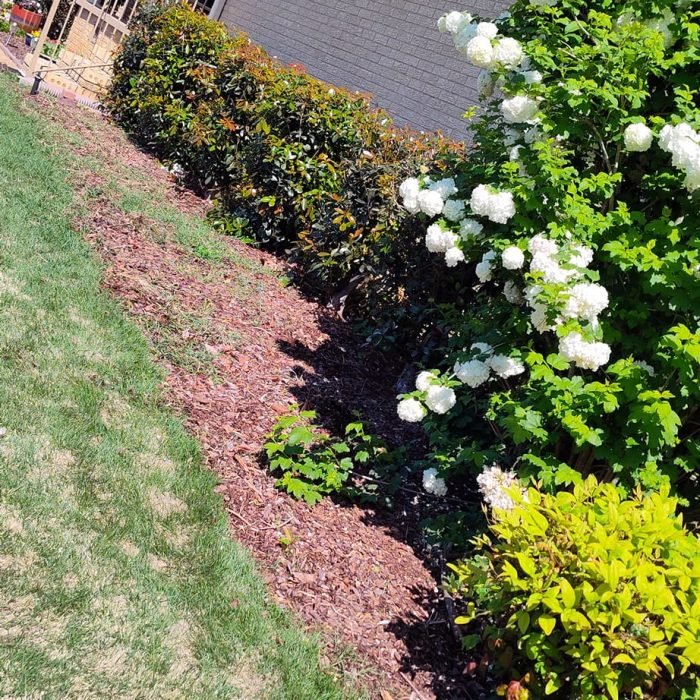 475878597_535035482918897_150741645502345417_n