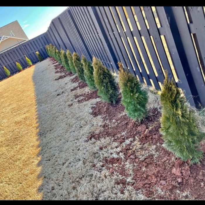 476118132_535660679523044_6425489111228036318_n (1)