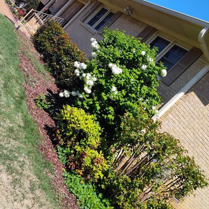 476138499_535035756252203_8368617766559694948_n