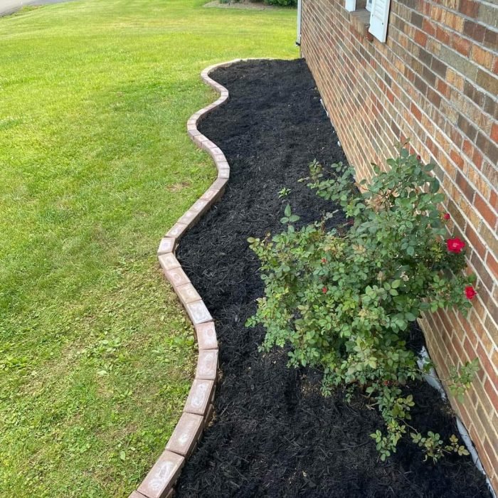 476158699_535660689523043_4046395048772602633_n