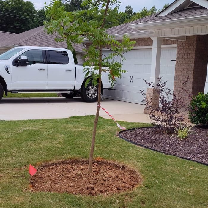 476206995_535677999521312_1786241198116716608_n