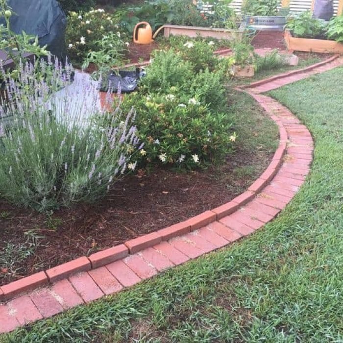 476209600_535667422855703_2771793761945115776_n